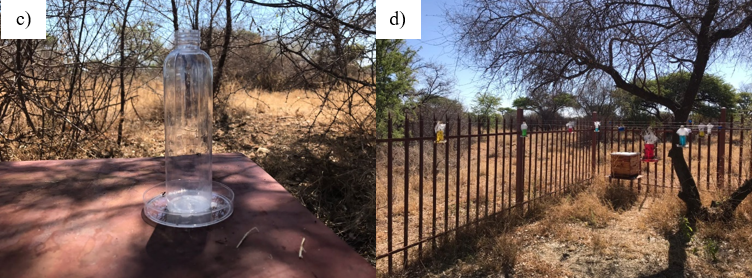 Honey bee feeder and Honey bee feeder placement.PNG